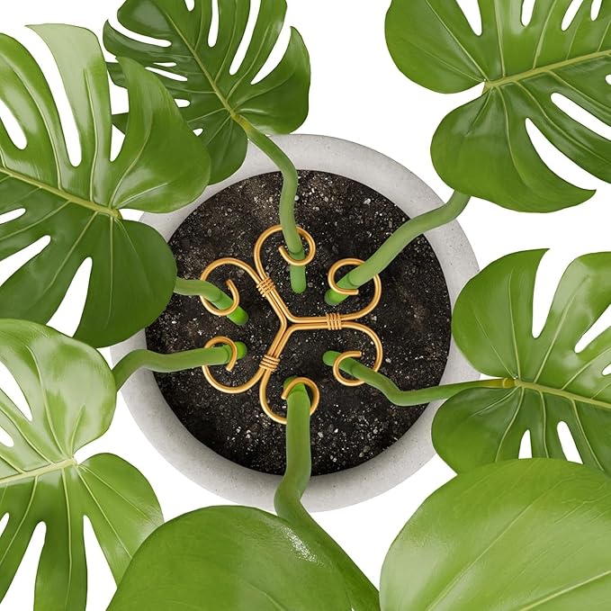 Plant Support Stakes,Heart-Shaped Indoor Plant Trellis,6 Pcs Reusable Plant Holder Stabilizer,Durable Plastic Climbing Plant Support Rings for Potted Plants,Vines,and Growing Support