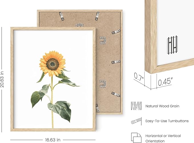 HAUS AND HUES Sunflower Set Collage 16x20 - Framed Beige