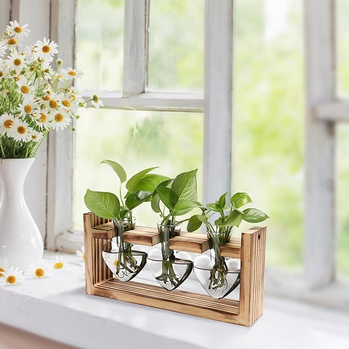 Zorpupoa Plant Propagation Station, Plant Terrarium with Wooden Stand, Tabletop Glass Planter Desktop Plants Propagation Vase for Hydroponics Plants - 3 Heart Shaped Vases