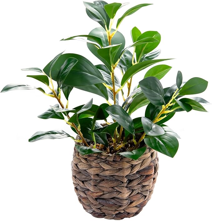 Ainuowei Artificial Vibrant Plants 14.2 inches Tall Fake Outdoor Greenery Plants with Ficus Leaves in Brown Rattan Planter for Indoor Home Office Garden Modern Decoration Ideal Housewarming Gift