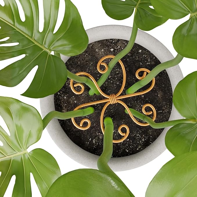 Plant Support Stakes,Flower-Shaped Indoor Plant Trellis,3 Pcs Reusable Plant Holder Stabilizer,Durable Plastic Climbing Plant Support Rings for Potted Plants,Vines,and Growing Support