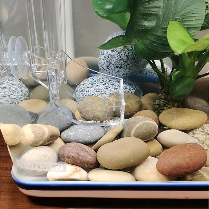 FAHAXIKI Natural River Rocks-20 lbs of Pebbles and River Stones,2-3 Inch Plant Rocks for Landscaping,Garden Paving,Crafting,Walkways,and Outdoor Decorative Stone,Mexican Beach River Rocks