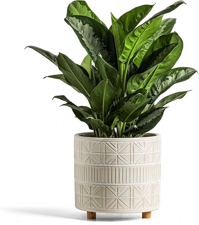 POITONRU Ceramic Plant Pot with Foots: 10 Inch Planter with Wooden Legs - Large Pots for Indoor Plants - Modern Flower Pot for Home Office Patio Garden Windowsill