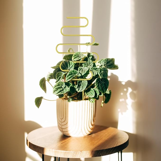 Coomin Small Plant Trellis for Climbing Plants Indoor, 15in Metal House Plant Trellis for Potted Plants, Mini Plant Support for Hoya Pothos, Gold