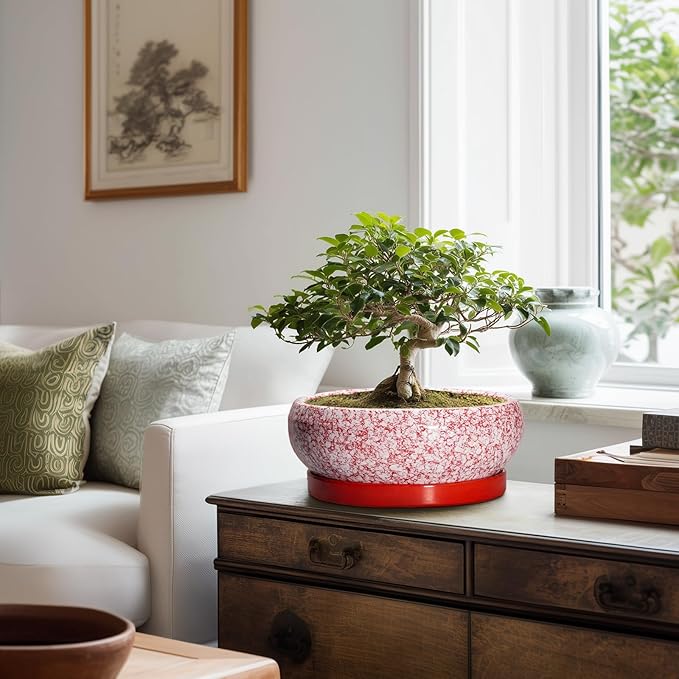 EPFamily Bonsai Pots 10 Inch - Ceramic Succulent Planters for Indoor Plants Outdoor, Succulent Pots with Drainage Hole and Tray, Round Shallow Planter, Bonsai Planter, Home Decor, Gardening Gift, Red