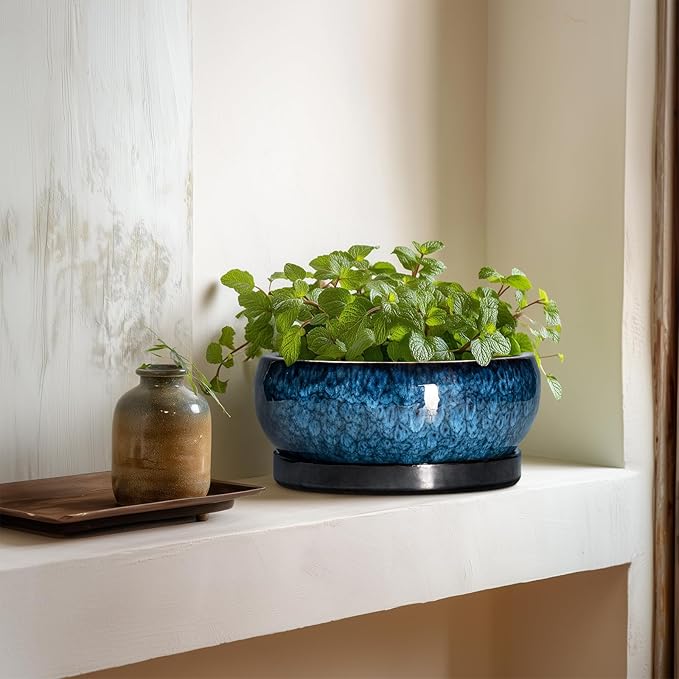 EPFamily Bonsai Pots 8 Inch - Ceramic Succulent Planter for Indoor Outdoor, Round Bonsai Planter with Drainage Hole and Saucer, Shallow Ceramic Planters Bowl, Patio Decor, Housewarming Gift, Blue
