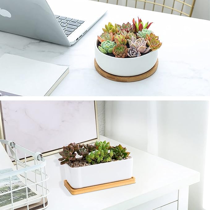 ARVINKEY White Ceramic Succulent Plant Pots, 1 Rectangular Flower Pot + 1 Round Planter, Set of 2 Small Cactus Container, Bonsai Pots, Succulent Pots with Drainage Hole& Bamboo Tray (No Plant)