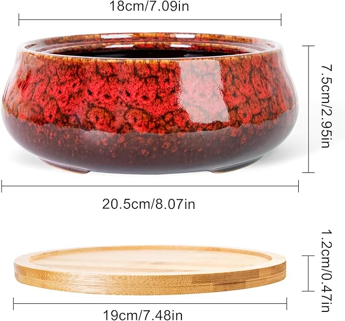 ARTKETTY Succulent Pots - 8 Inch Plant Pot, Large Bonsai Pots with Drainage Tray, Ceramic Planters for Indoor Outdoor Plants, Round Shallow Cactus Flower Plant Container Bowl Decorative Home Garden