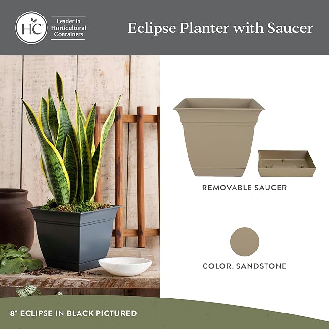 The HC Companies Eclipse Square Plastic Planter w/Attached Saucer - Outdoor & Indoor Plant Pot with Drainage Holes - Lightweight, UV-Resistant Plastic Pots for Plants (10" Sandstone, Pack of 1)