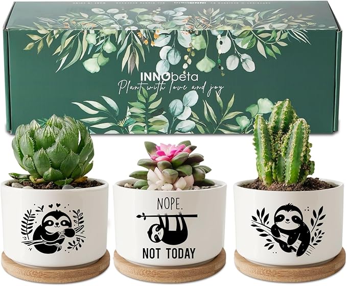 InnoBeta Sloth Gifts Succulent Plant Pots 3pcs, Gifts for Sloth Lovers, Planter Pot with Bamboo Tray, Plants NOT Included, Cute Ceramic Pots for Birthday, Christmas