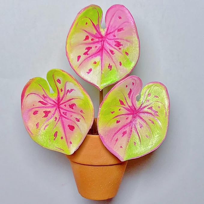Yuvori Mini Terracotta Pots – Small Clay Flower Pots for Succulents, Cactus, DIY Crafts, Fairy Garden, School Projects, Mini Planters – Set of 30 (Straight Cylinder, 0.6 Inch)
