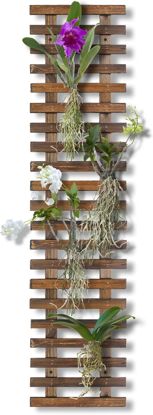 Wall Planters - 11.4" W x 47.24" H Wooden Wall Planters for Indoor Outdoor Plants,Hanging Wood Wall Trellis,Wall Mounted Plant Holder for Orchids,Succulent,Air Plants,Hanging Pots Display