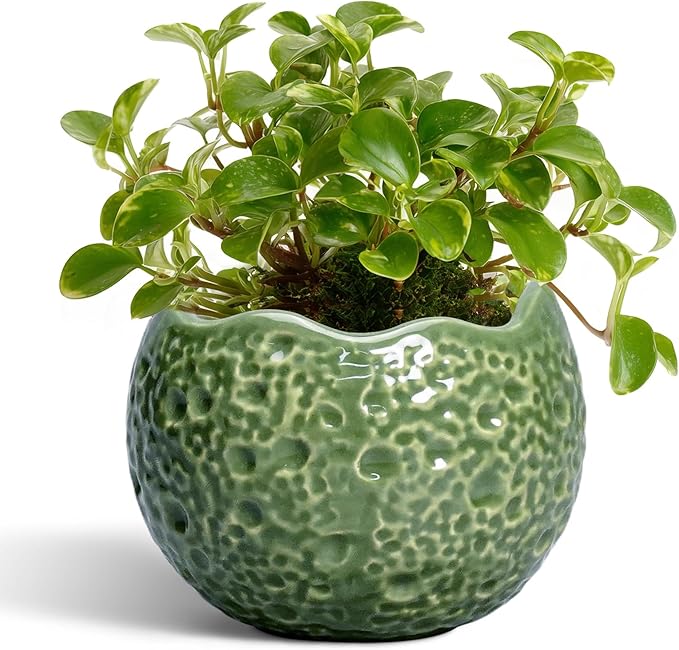 Thirtypot Ceramic Plant Pots - 4 inch Plant Pot with Drainage Hole, Small Pots for Plants Indoor Outdoor, Unique Round Planter, Modern Decorative Flower Pot, Room Decor, House Warming Gifts, Green