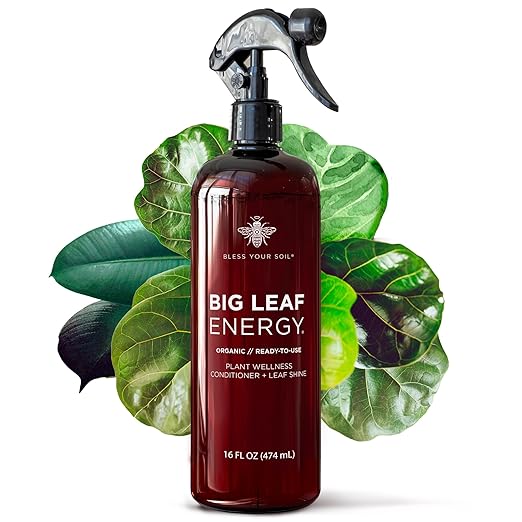 Big Leaf Energy (16 FL OZ) Organic Neem Oil Spray for Plants + Essential Oils : Ready to Use Plant Wash for Indoor Houseplants & Outdoor Gardens, Natural Leaf Shine