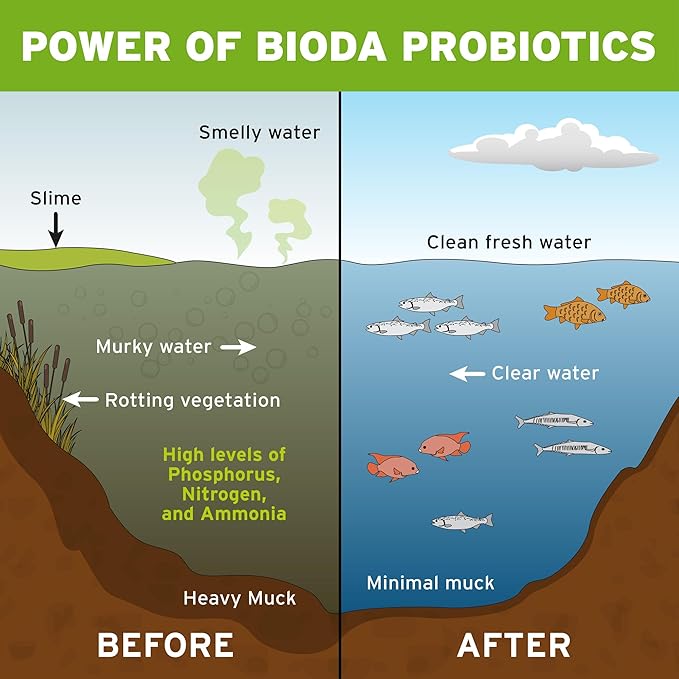 Bioda Pond Clarifier & Muck Cleaner, Keeps Ponds Clear, Treats 1/4 Acre - 6 Months, 12 Packets