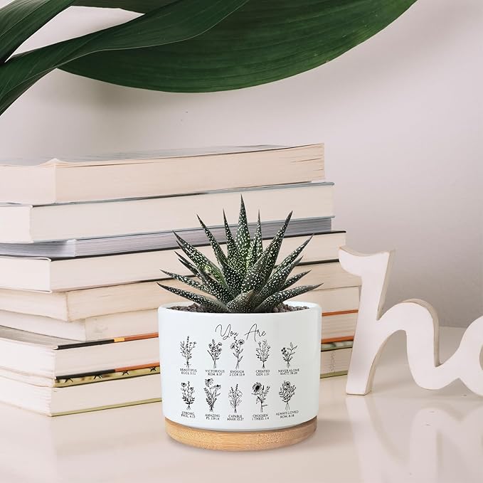 PZJIEAN You are Beautiful Succulent Plant Pot, Cute 3.5 Inch Ceramic Pot, Inspirational Christian Desk Windowsill Pots for Small Plants, Cactus Gifts Plant, Religious Planter (No Plants)