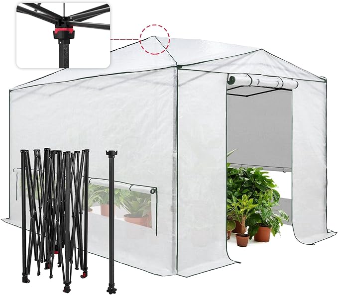 EAGLE PEAK Instant Pop-up Greenhouse, Indoor Outdoor Plant Gardening Green House, Roll-Up Zipper Doors and Side Windows & Winter Support Pole, Heavy Duty Walk in 12x8 ft, Woven PE Cover, White