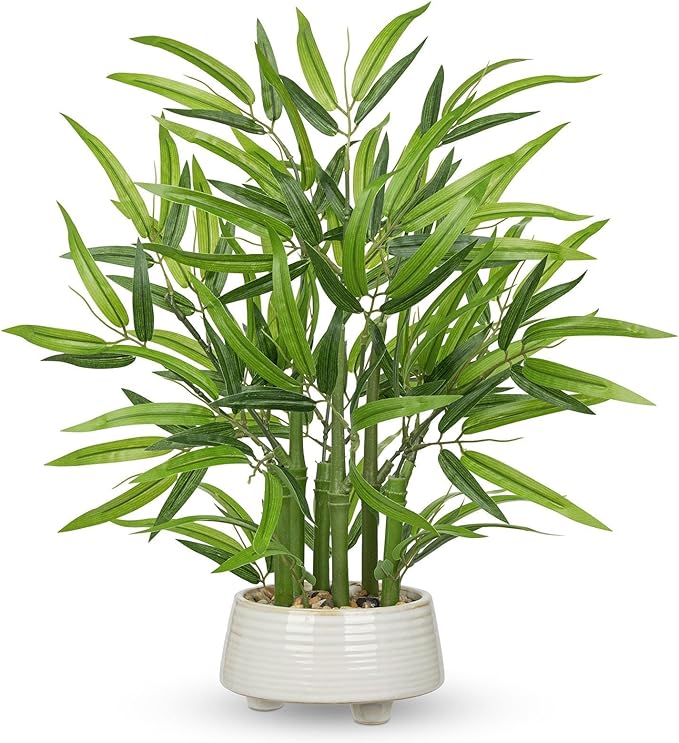 GnFlus Artificial Bamboo Tree Plant 19.6 inch Tall Potted Fake Bamboo Plant-Faux Tree in Ceramic Pot for Farmhouse Home, Office, Kitchen, Counter Top, Indoor Decor, Money Tree, Lucky Plant