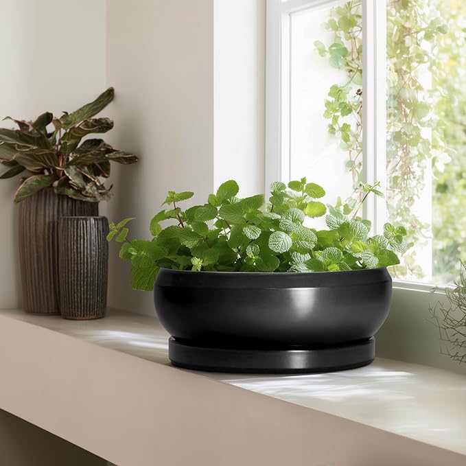 EPFamily Bonsai Pots 13 Inch - Large Ceramic Succulent Pots with Drainage Hole and Tray, Round Planter Bowl Indoor Outdoor, Modern Shallow Planters, Home Living Room Decor, Gardening Gifts, Black