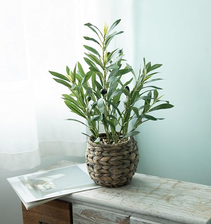 Ainuowei Indoor Fake Olive Plants 17.7 inches Tall Lifelike Artificial Olive Plants with Cyan Fruits in Brown Rattan Planter for Shelf Office Desk Kitchen Counter Small Space Artificial Plant Decor