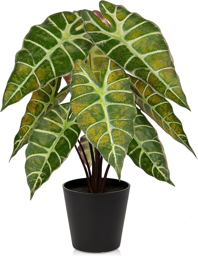Briful Fake Plant Real Touch Artificial Alocasia Bambino Plant in Black Nursery Pot Faux Alocasia Polly Houseplant for Shelf Tabletop Centerpieces Farmhouse Home Décor, Yellow Green