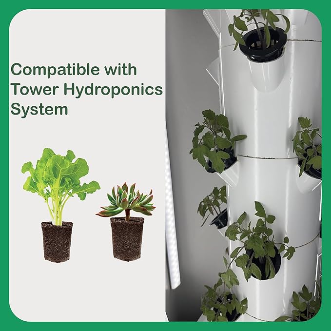 50 Pcs Square Hydroponics Pods, Seed Starter Plugs Rapid Rooter, Grow Sponges for Cactus, Succulent, Replacement Cubes for Seeds or Cuttings