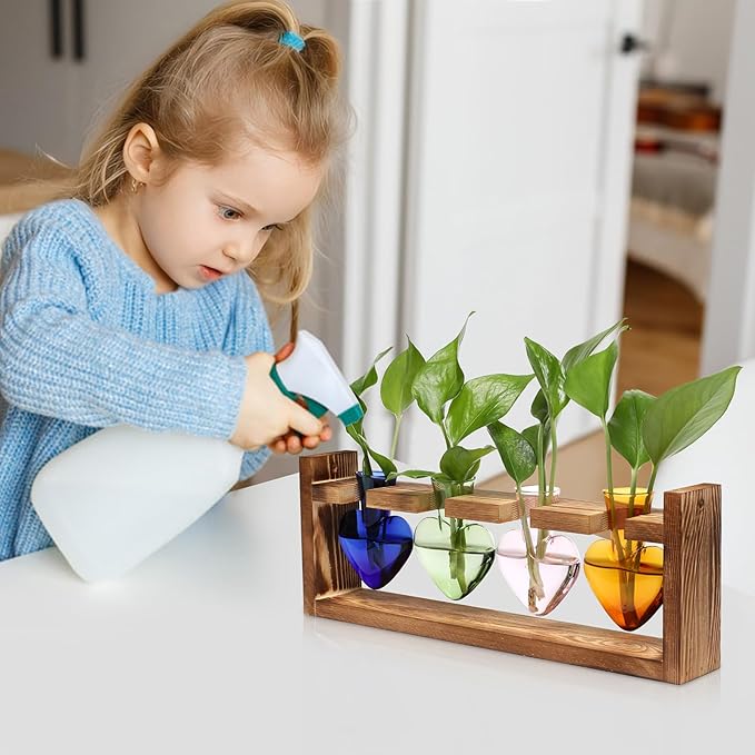 CYZglass Plant Propagation Stations Heart Plant Terrarium Kit Gift for Women Plant Lover Glass Vases