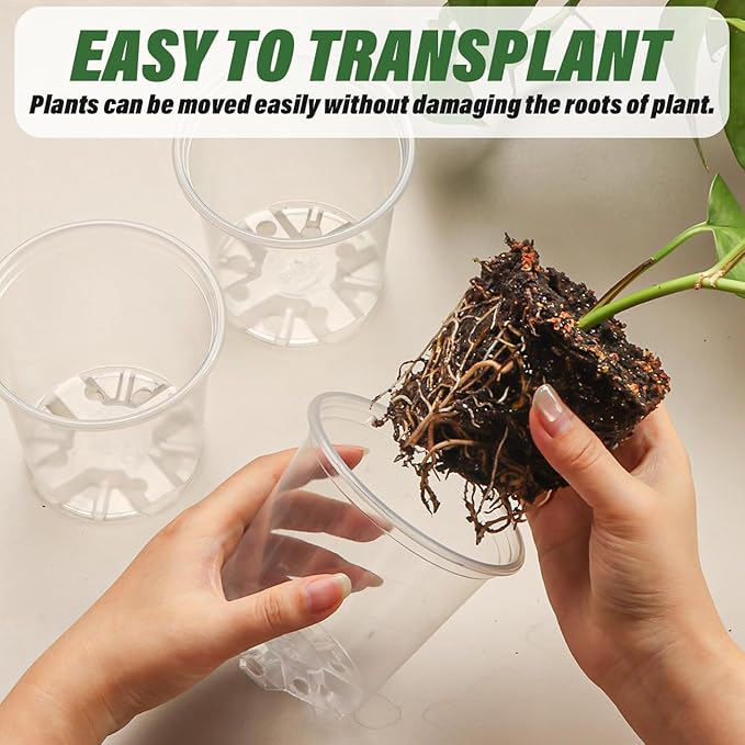 RooTrimmer 3.5" Clear Seeding Pots 100-Pack Round for Seeds Starter Pots, Seeds Germination Transparent Nursery Pots with Drainage Holes (100PCS)