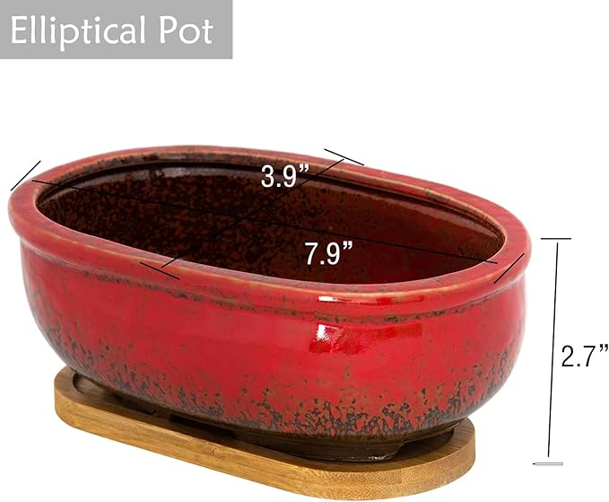 ARTKETTY Succulent Pots, 1 Rectangle Planter + 1 Ceramic Bonsai Pot with Drain Tray, 2 Pack Large Shallow Succulent Planters for Indoor Plants, Round Cactus Flower Plant Pot for Desk Windowsill Decor