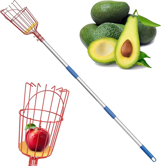 Fruit Picker Tool 6 ft, Extendable Fruit Picker Pole with Basket Telescoping, Apple Fruit Tree Picker Pole with Stainless Steel Pole for Mango, Orange, Fig, Lemon