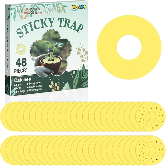 Mysora 48 Pcs Fruit Fly Traps Fungus Gnat Sticky Traps Yellow Round Ring for Pot Plants Indoor Outdoor Mosquito Flying Insects (S)