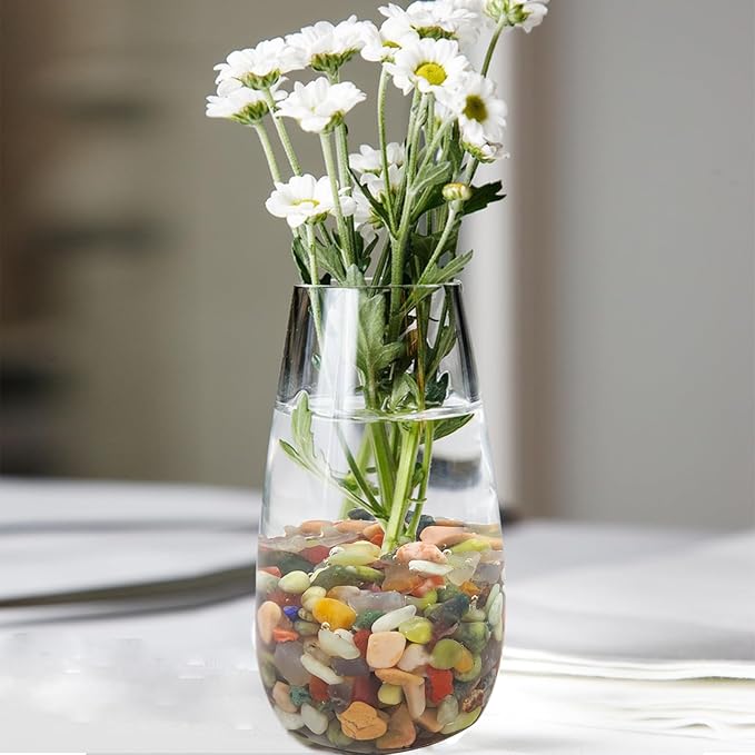 FANTIAN 10 lbs Small Succulent Rocks, 3/8 Inch Colorful Polished Pebbles for Indoor Plants. Decorative Rocks for Plants Indoor, Vases, Planters Aquarium and Outdoor Landscaping Garden