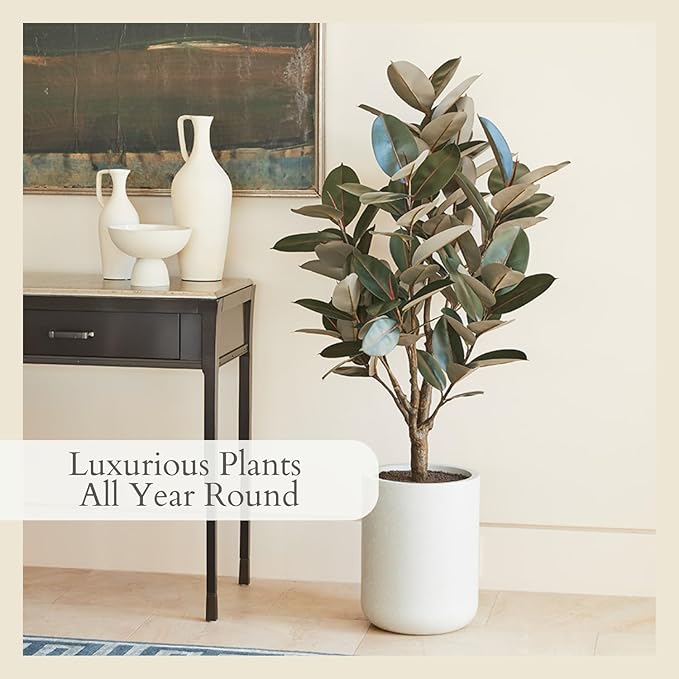 CG Hunter Faux Rubber Ficus Tree, Premium Artificial Indoor Plant Stands 5’ Tall, Lifelike-Leaves and Hand Painted Trunk Create Realistic Faux-Ficus Tree Appearance, Planter Pot Included
