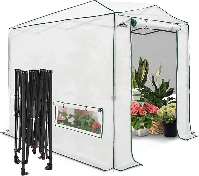 EAGLE PEAK Instant Pop-up Greenhouse, Indoor Outdoor Plant Gardening Green House, Roll-Up Zipper Doors and Side Windows, Heavy Duty Walk in 8x6 ft, Woven PE Top, White