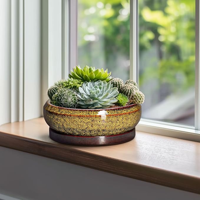 EPFamily Bonsai Pots Ceramic - 10 Inch Succulent Planters Indoor Outdoor, Shallow Planter with Drainage Hole and Saucer, Round Planter Bowl, Succulent Pots, House Decor, Gifts for Plant Lover, Yellow