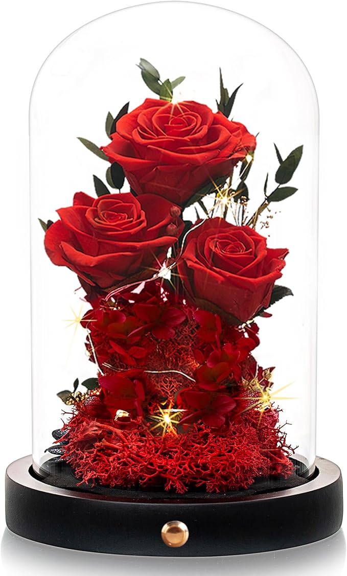 DENIMOMO Flowers Roses Gifts for Women Her,Forever Preserved Rose in Glass Dome, Valentines Anniversary Birthday Real Roses Gifts for Wife Women Girlfriend Best Friend/Red