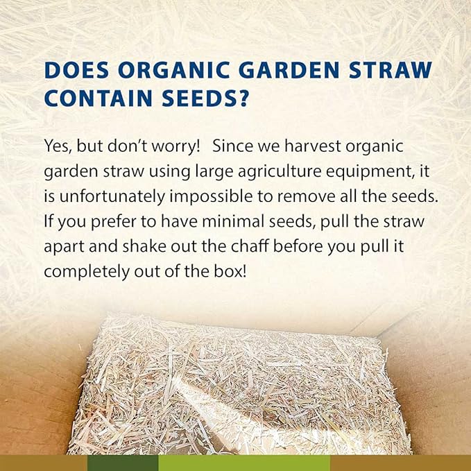Blue Mountain Hay Organic Garden Straw (5 lb) - Natural Mulch for Gardening, Flower Beds & Landscaping, New Lawn Grass Seeding, Compost, Raised Garden Bed, Cat Grass & Grass Seed