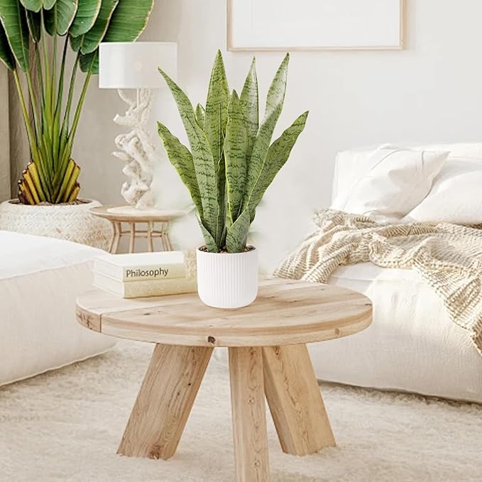 Artificial Realistic Snake Plant 21.5" with White Pot Fake Snake Plants Sansevieria Greenery Faux Snake Plant for Home Office Living Room Housewarming Gifts Indoor Decor-LightGreen