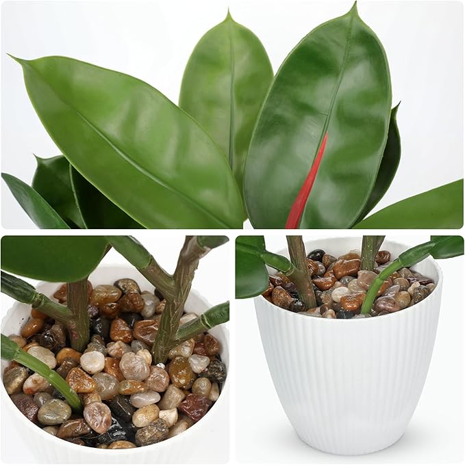 GnFlus Fake Plant Artificial Rubber Tree in White Pot Decor for Farmhouse Home, Office, Kitchen, Counter Top, Indoor Decoration