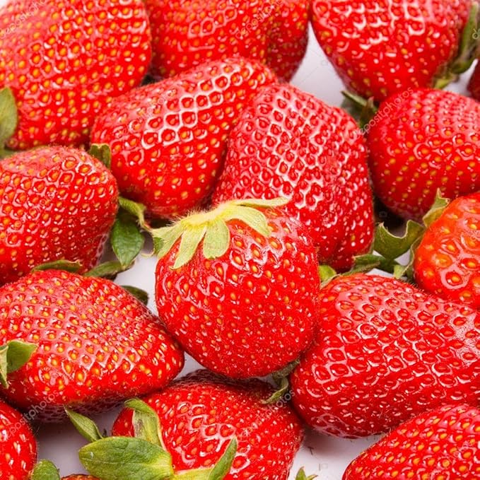 Seeds Giant Strawberry Fresca Everbearing Berries Indoor Non GMO Fruits for Planting