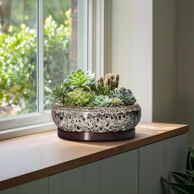 EPFamily Bonsai Planter 13 Inch - Large Ceramic Succulent Planters, Shallow Plant Pot Indoor with Drainage Hole and Tray, Bonsai Pot, Round Bowl Planter Outdoor, House Decor, Housewarming Gift, White