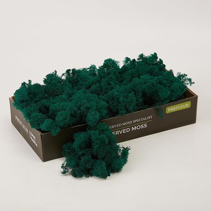 prefleur Preserved Reindeer Moss Natural Green DIY Kit Gardenning Art Wall Decor Florist Decor Easter Table Decor Wedding