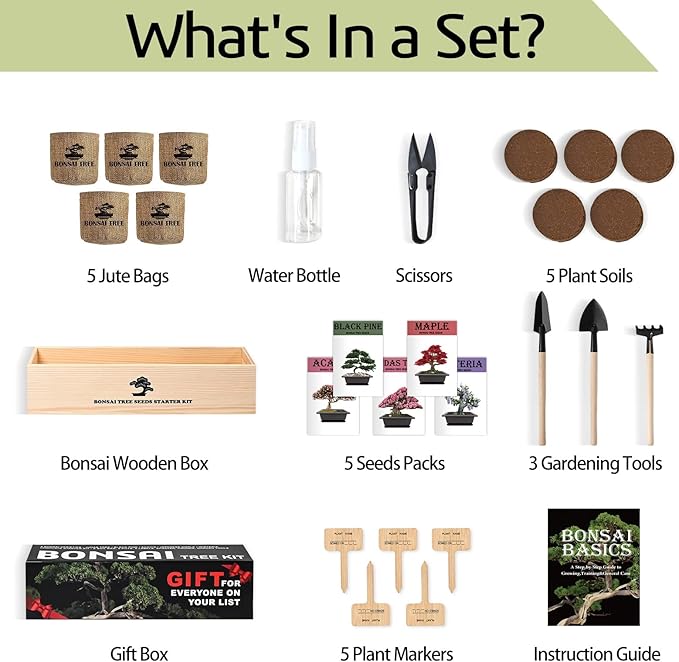 Meekear Bonsai Tree Kit with Complete Growing Starter Kit, Great Potted Growing DIY Gift for Adults