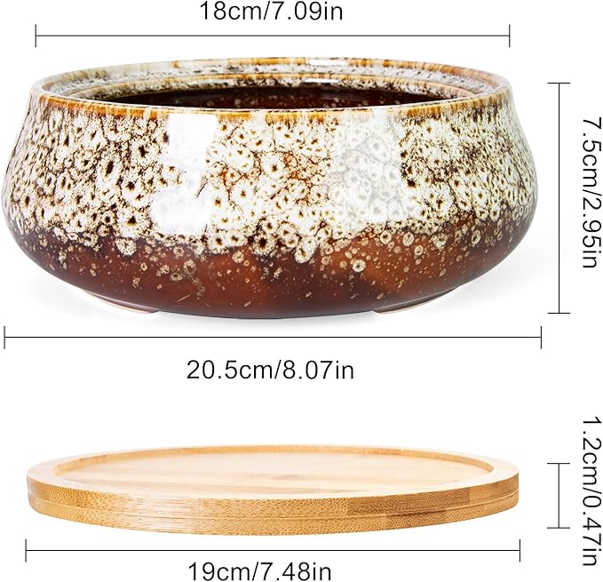 ARTKETTY Succulent Pots - 8 Inch Plant Pot, Large Bonsai Pots with Drainage Tray, Ceramic Planters for Indoor Outdoor Plants, Round Shallow Cactus Flower Plant Container Bowl Decorative Home Garden