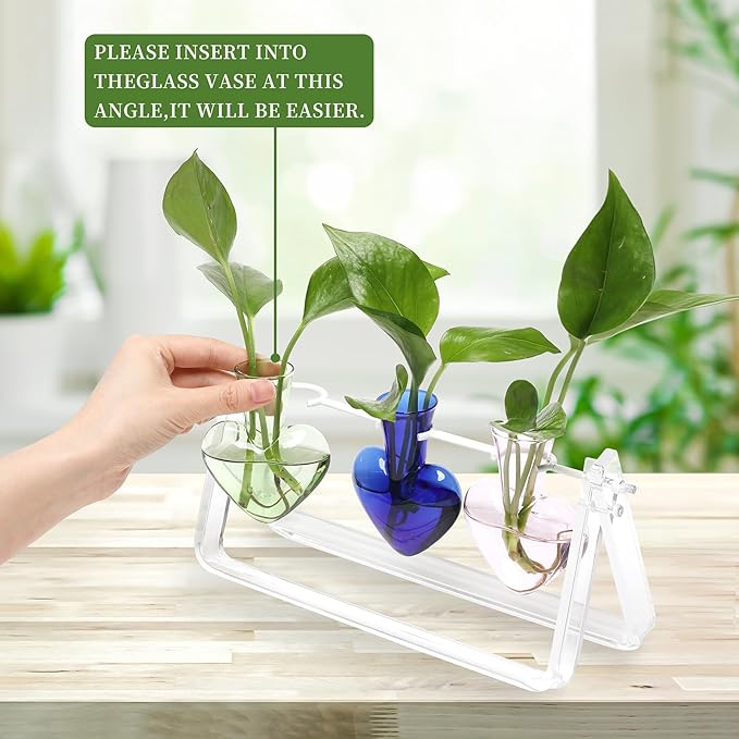 CYZglass Clear Plant Terrarium Propagation Stations with Acrylic Stand Birthday Gifts for Women Office Home Decor