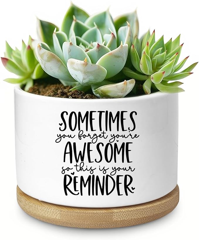 Aryabtya Cute Succulent Planter, Flower Cactus Plant Pot Gifts, Thank You Inspirational Gifts for Women Men Coworkers Teachers Plant Lovers, Office Home Windowsill Indoor Decor (No Plants)