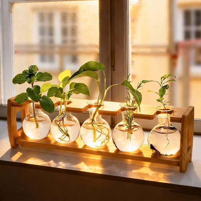 Pumtus 2 Pack Plant Propagation Stations, Desktop Plants Terrarium with Wooden Stand, Water Propagation Station, Hydroponic Plant Vase with 8 Glass Bulbs, Small Propagated Plants Jar for Home Office