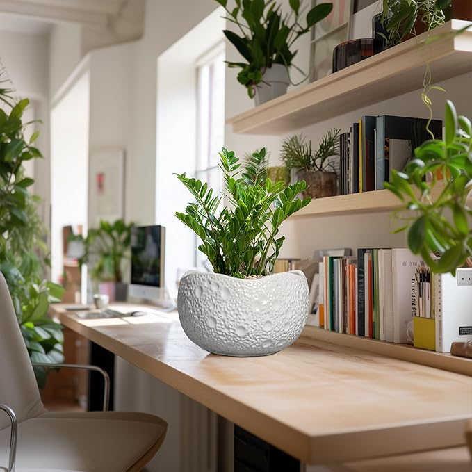 Thirtypot 10 Inch Plant Pot - Ceramic Planter for Indoor Outdoor, Round Bonsai Pots, Decorative Flower Pots with Drainage Hole, Modern Unique Planters, House Decor, Home Gifts, White