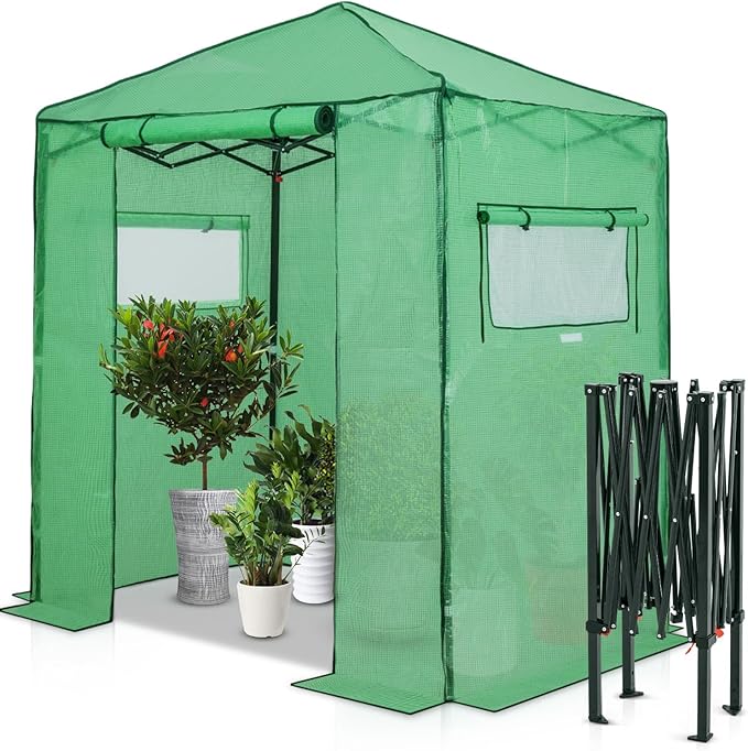 EAGLE PEAK Instant Pop-up Greenhouse, Indoor Outdoor Plant Gardening Green House, Roll-Up Zipper Doors and Side Windows, Walk in 6x4 ft, PE Cover, Green/Clear