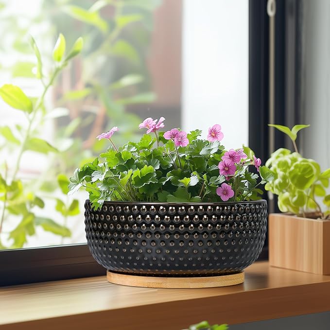 EPFamily Bonsai Tree Pot - 8 Inch Ceramic Succulent Planters with Drainage and Plant Tray, Boho Round Shallow Bowl for Indoor Plants, Office Decor, Housewarming Gift, Black
